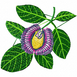 Flowers Embroidery Design 1